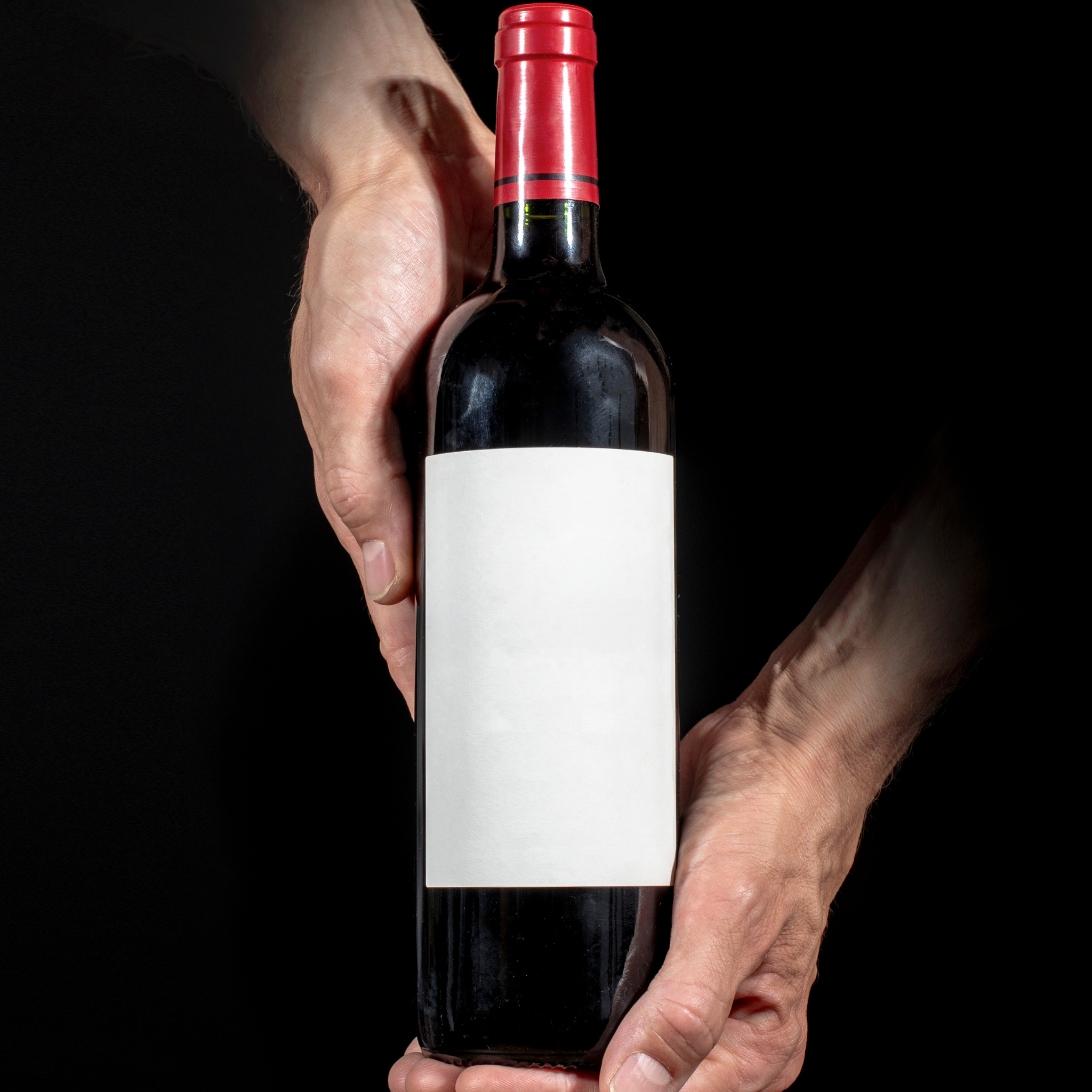 etichette vini sassari