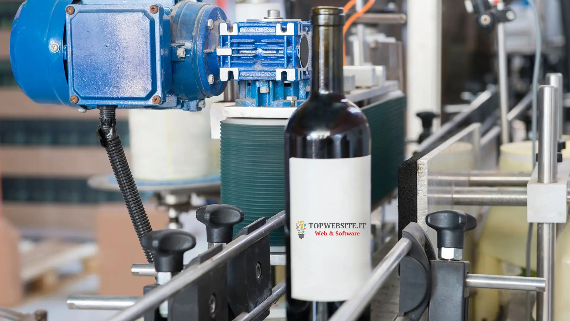 Studio etichette per vini e prodotti Sassari Olbia